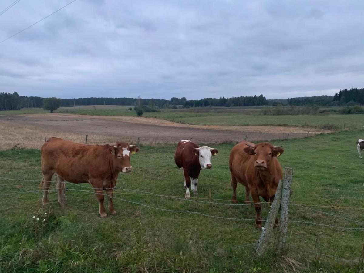 Gizycko-Przerwanki Domki Widok Na Mazury Extérieur photo