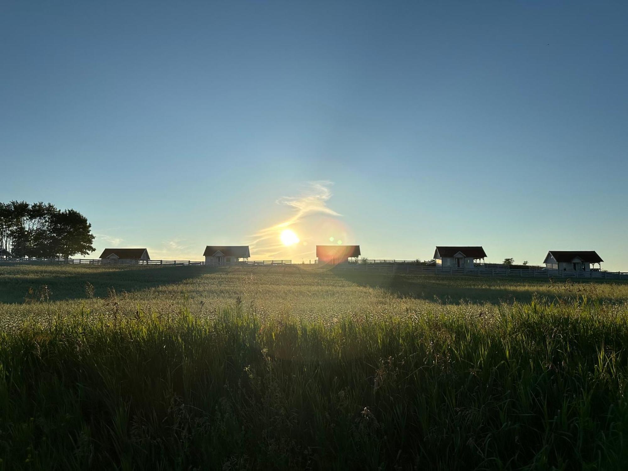 Gizycko-Przerwanki Domki Widok Na Mazury Extérieur photo
